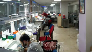 Diş Protezler Laboratuvarı